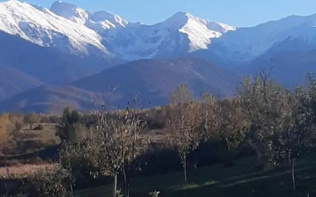 La Curtea Porumbaceana