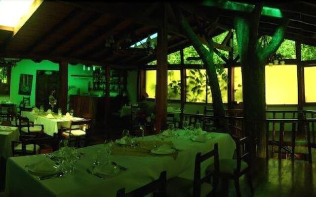 Hotel Cedro