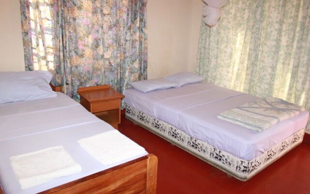 The Pink Daisy Bed and Breakfast