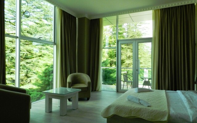 Resort Martvili