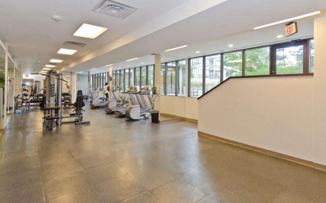 Suite Digs Waterfront