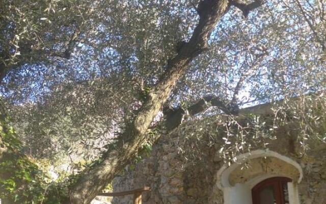 Agriturismo LE CASE ROTTE