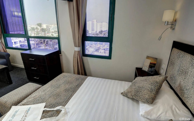 Brown Eilat