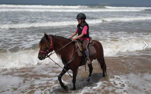 Essaouira Youth Hostel & Social Travel