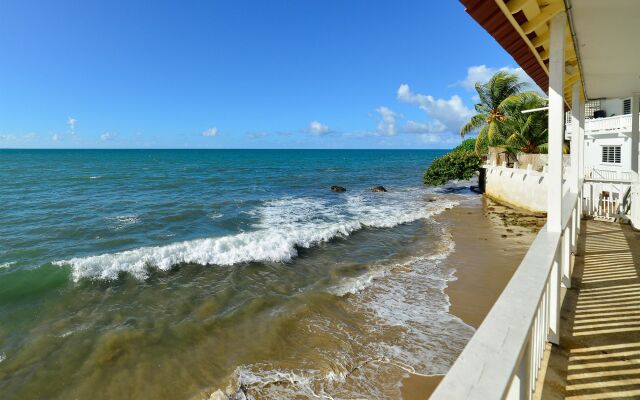 Lemontree Oceanfront Cottages