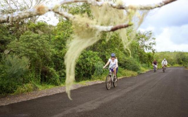 Galapagos Safari Camp