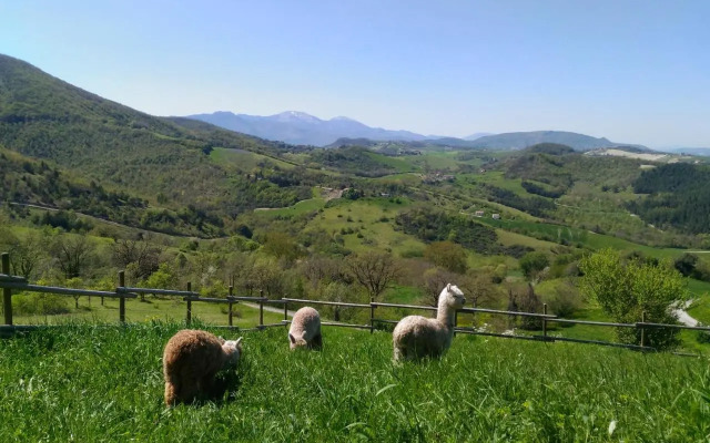 L'Alpaca Della Rossa - Agriturismo