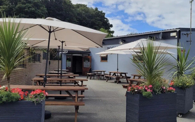 Snowdonia Holiday Cabin In Caernarfon North Wales