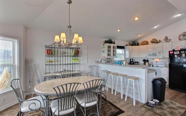 4040 - Paws at the Beach