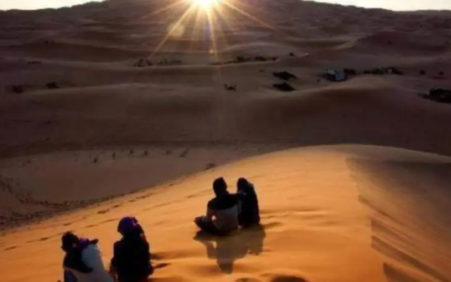 Desert Pearl Camp