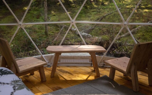 Stay Wilder - Adults Only