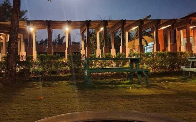 The Celebration Van Vilas