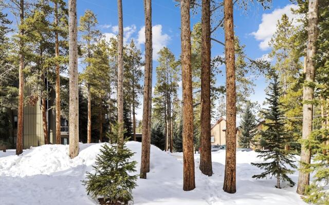 Park Forest  4 Bedroom Home by RedAwning