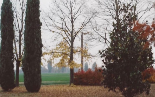 Alla Cedrara agriturismo