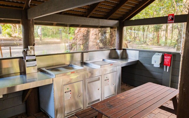 Binna Burra Rainforest Campsite