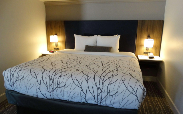 Best Western Premier Denver East