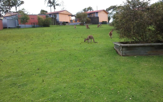 Durras Lake North Holiday Park