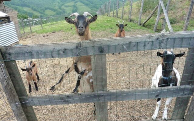 Società Agricola Cacigolara