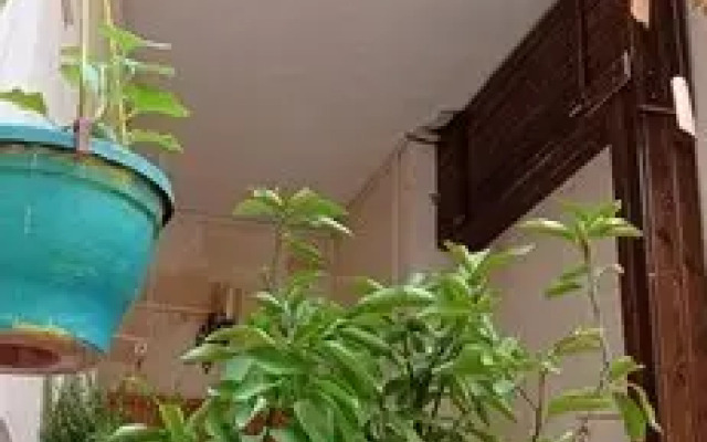 Terrace Boutique Hotel