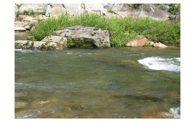 Pyeongchang White Castle Pension