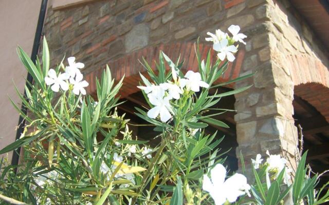 Agriturismo La Nocciolina