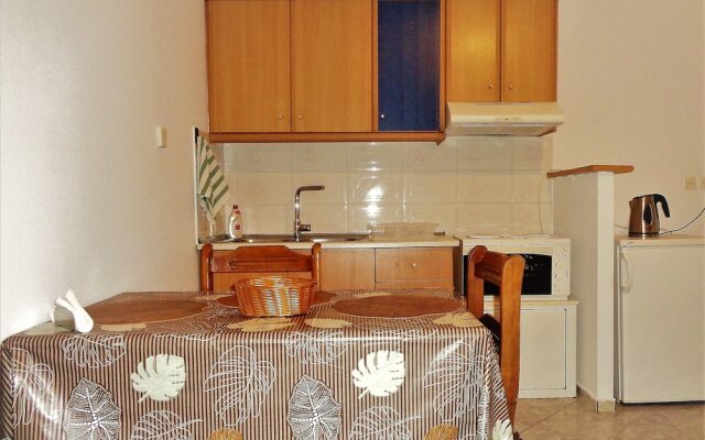 Elena's House