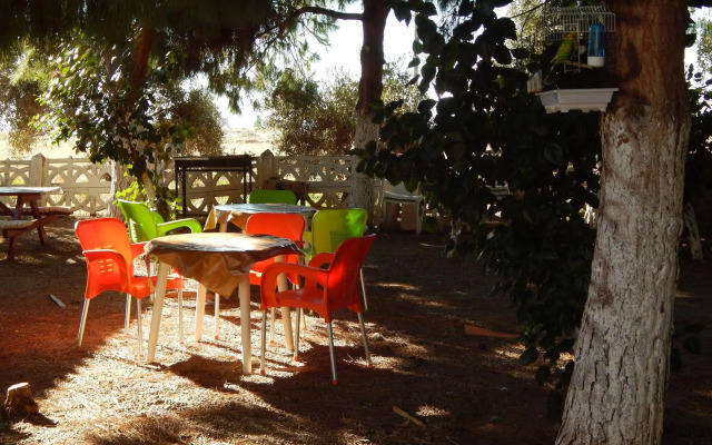 Koru Beach Club