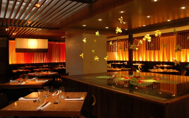 The Manner, The Unbound Collection by Hyatt