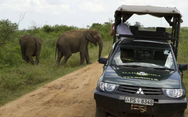 Ruhunu Safari Camping - Udawalawe