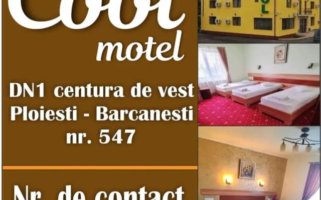 Motel Cool