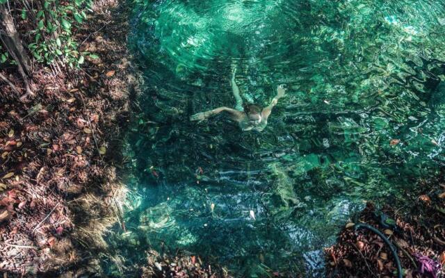 Hidden Treehouse Tulum EcoHotel