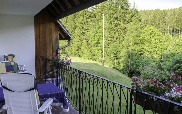 Scherzinger Eisenbach Hochschwarzwald