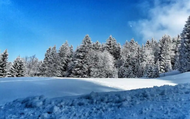Holiday Apartment Allgauer Alpenblick