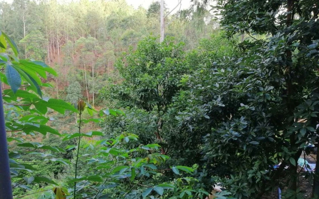 Ella Cool Valley