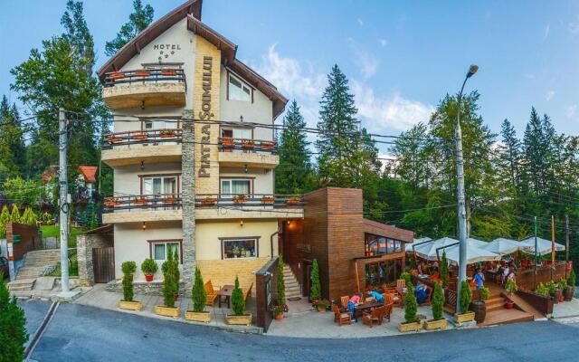 Hotel Piatra Soimului