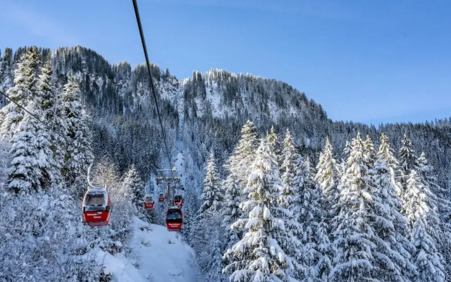 Mount-apartment Directly on Ski-slopes