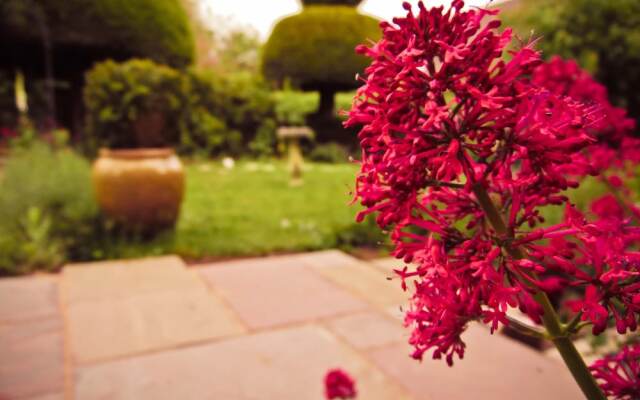Yew Tree House B & B