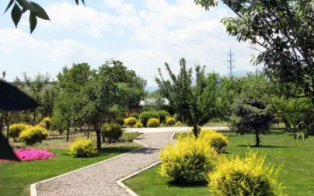 A Tree Hostel