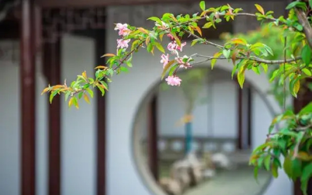 Guli Hongdou Resort • Lake Lodge