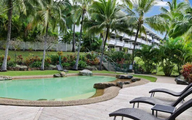 Frangipani 103