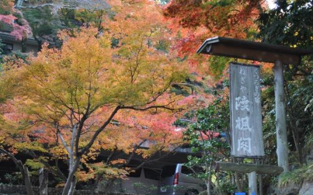 Negiya Traditional Japanese Spa Ryokan