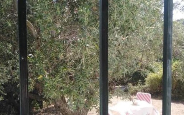 S&K Country House Pirgos Peloponnese