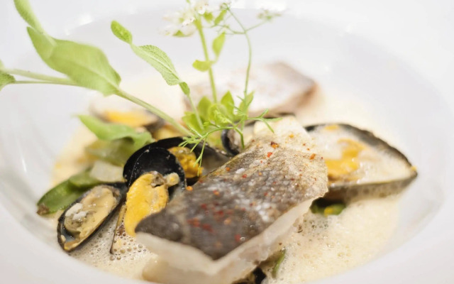 Hotel Restaurant & SPA Plaisir