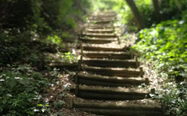 Seaside Retreat- Main House