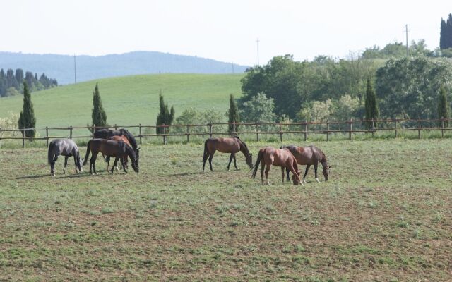 Agriturismo Allevamento Renaccino