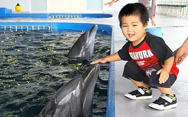 Shibushiwan Daikoku Resort Hotel