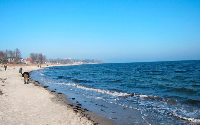 Strandläufer - [#29764]