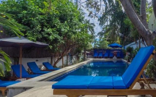 Timor Backpackers