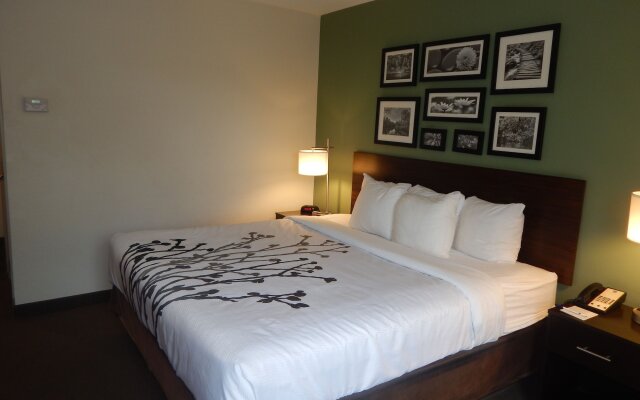 Sleep Inn & Suites near Liberty Place I-65