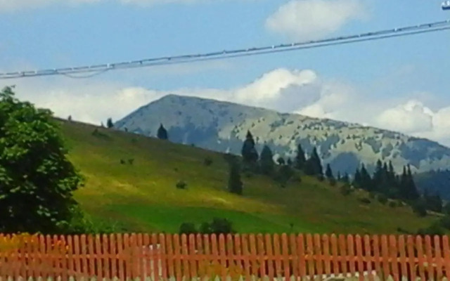 Romashka Guest House